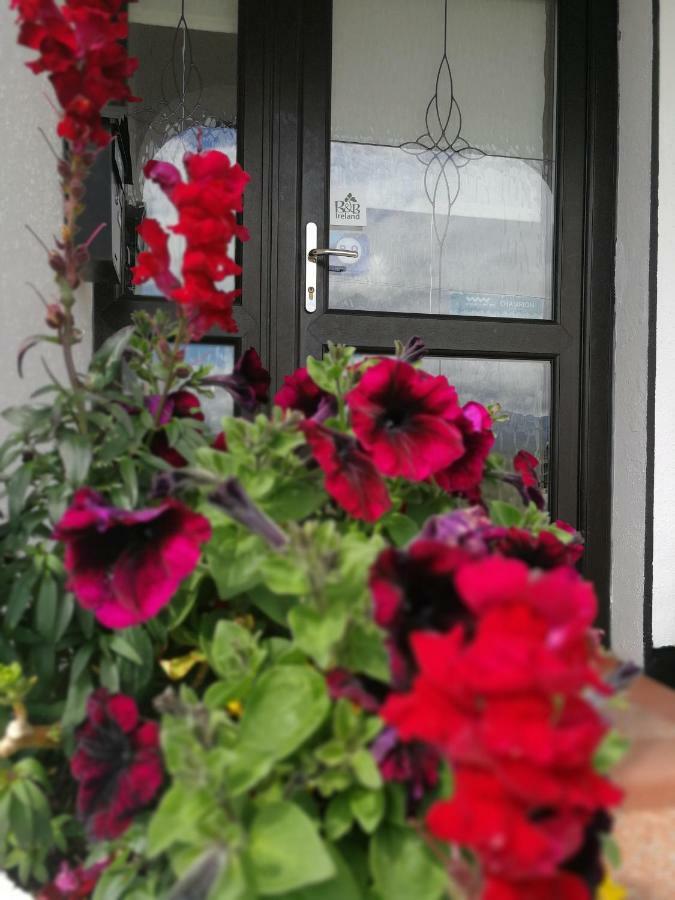 ルイスバーグ ザ スリー アーチーズ Bed & Breakfast エクステリア 写真