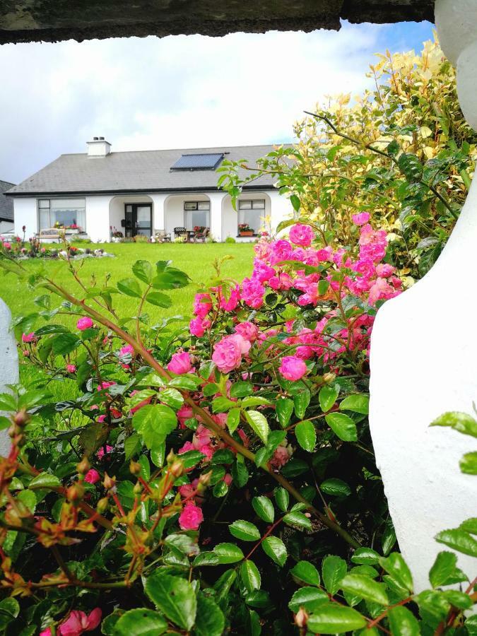 ルイスバーグ ザ スリー アーチーズ Bed & Breakfast エクステリア 写真